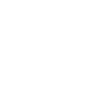 Logo 2A - PNG
